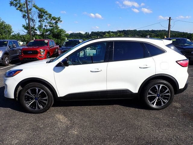 Used 2022 Ford Escape SEL w/ SEL Stealth AWD Package image 2