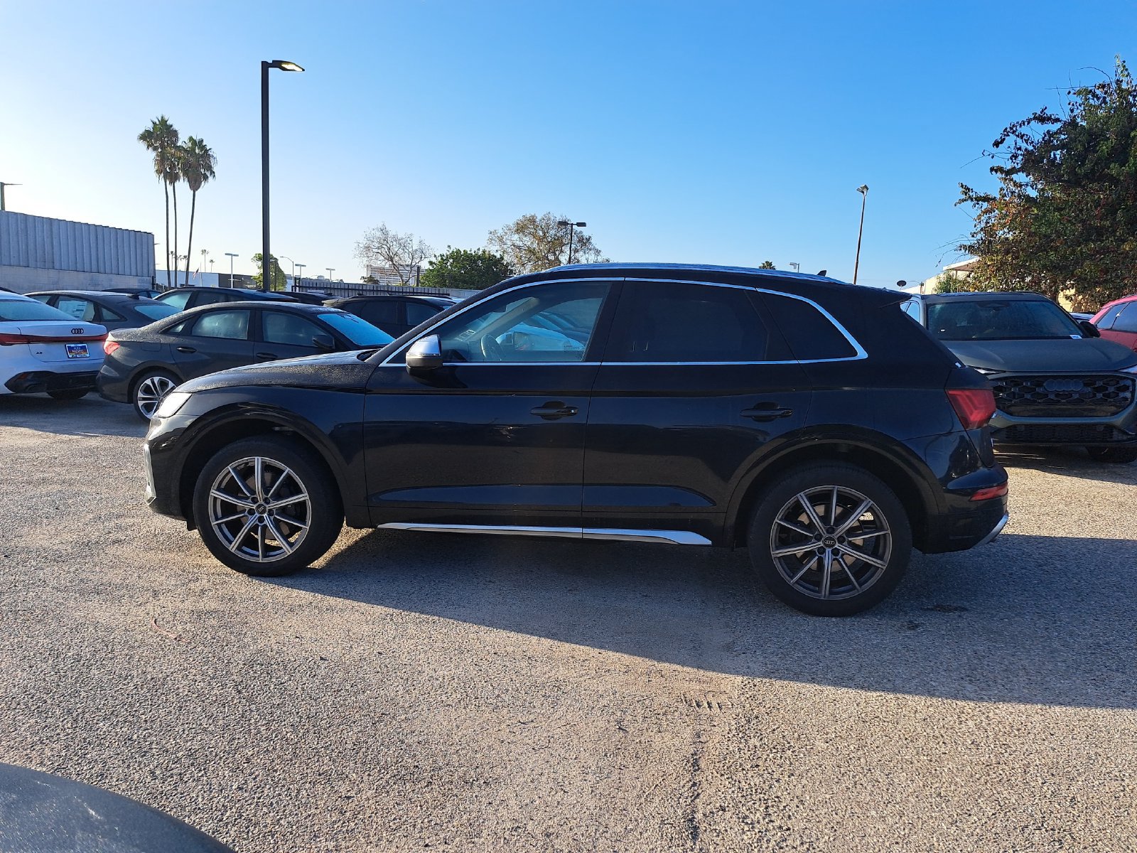 Used 2023 Audi SQ5 Premium Plus w/ Premium Plus Package AWD/4WD image 8
