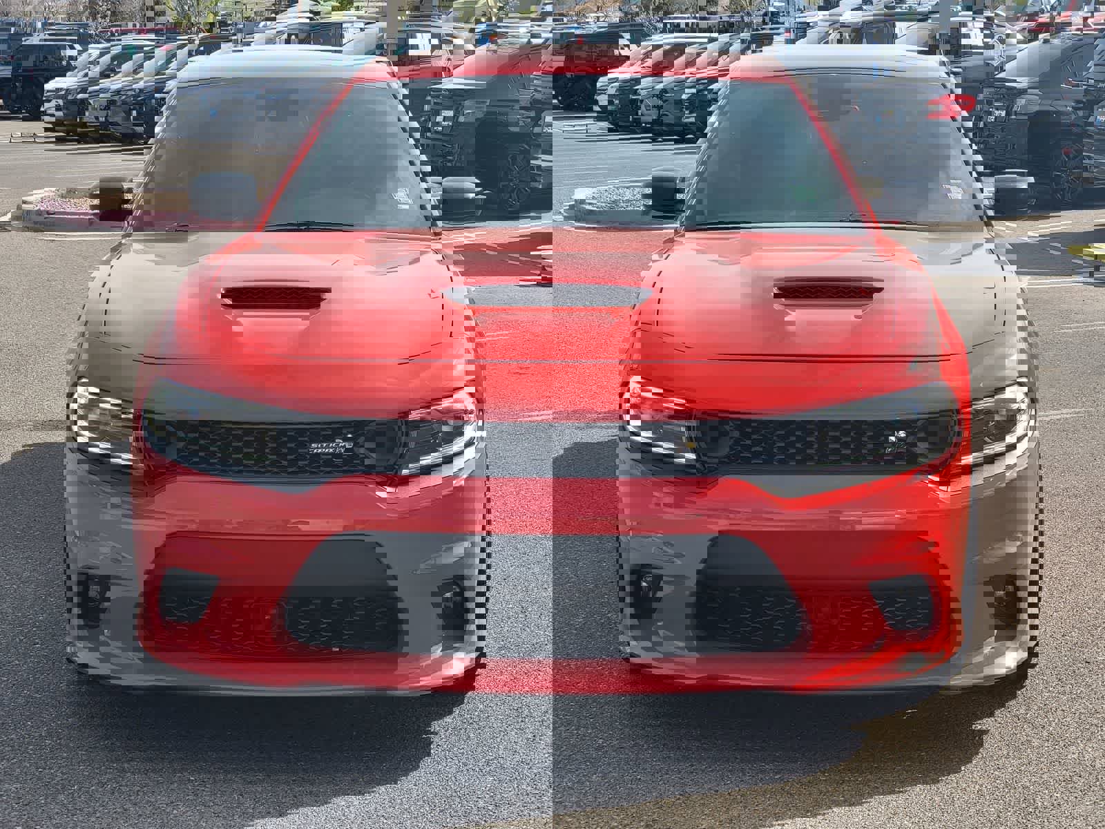 Used 2023 Dodge Charger Scat Pack w/ Plus Group image 2