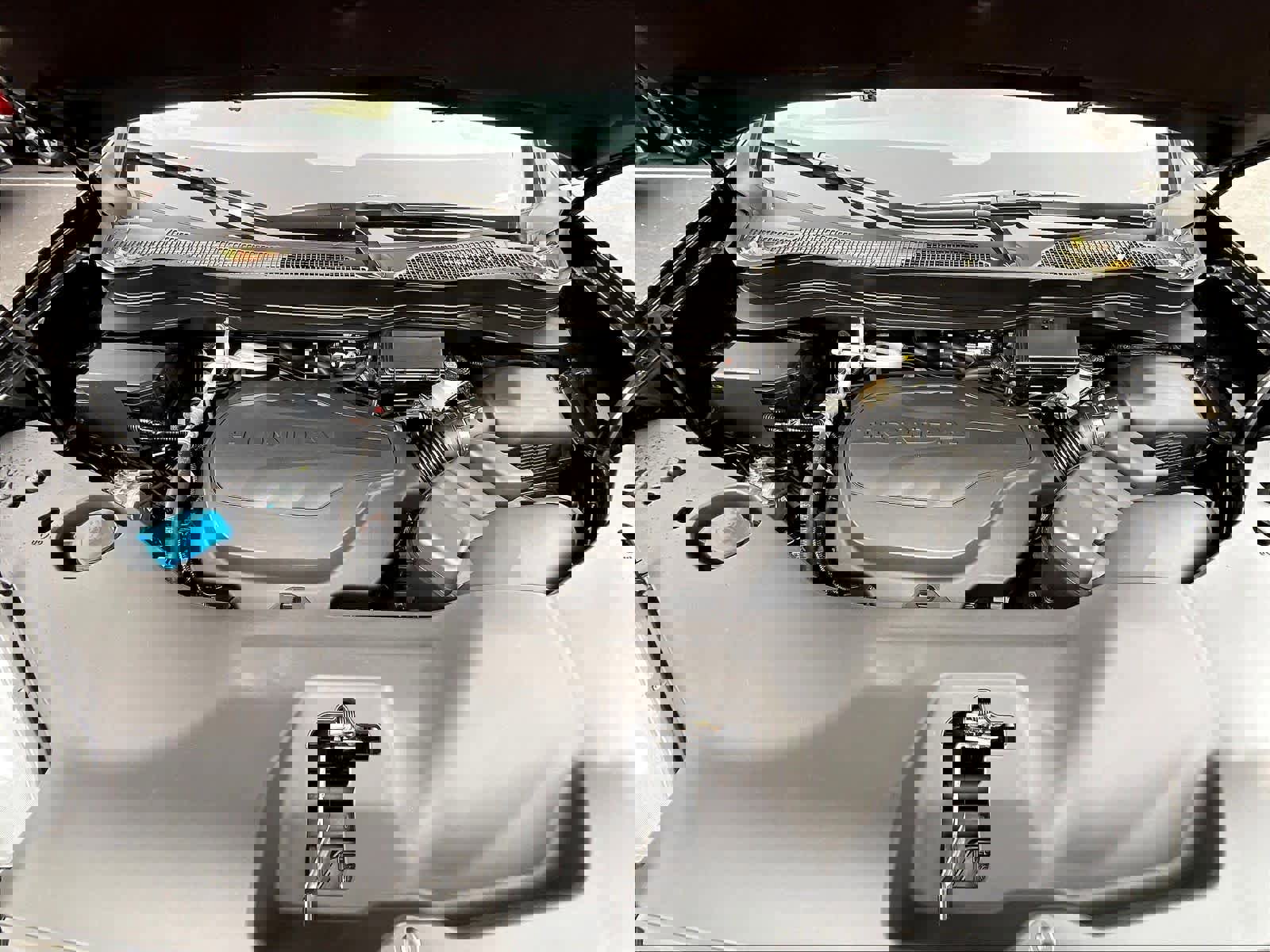 New 2026 Honda Ridgeline TrailSport image 16