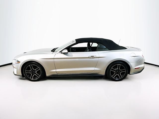 Used 2019 Ford Mustang Premium image 4