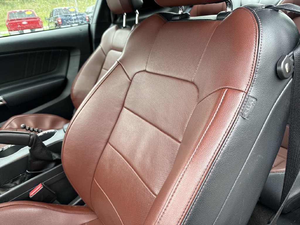 Used 2016 Ford Mustang GT Premium RWD image 9
