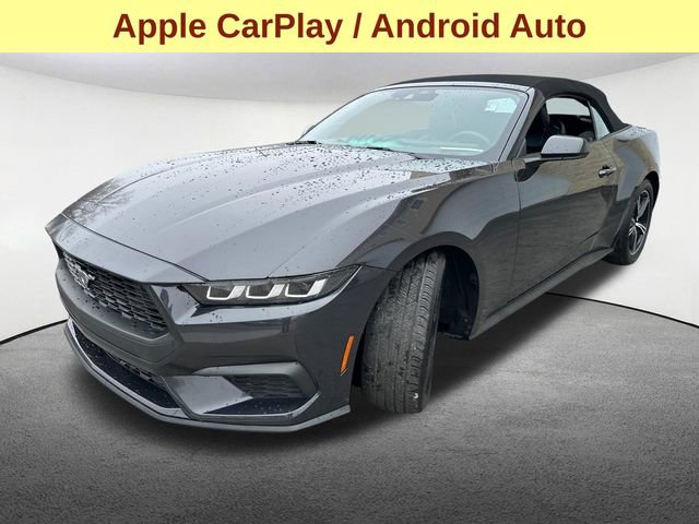 Used 2024 Ford Mustang Premium RWD image 4