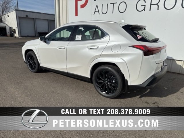 New 2025 Lexus UX 300h AWD image 5