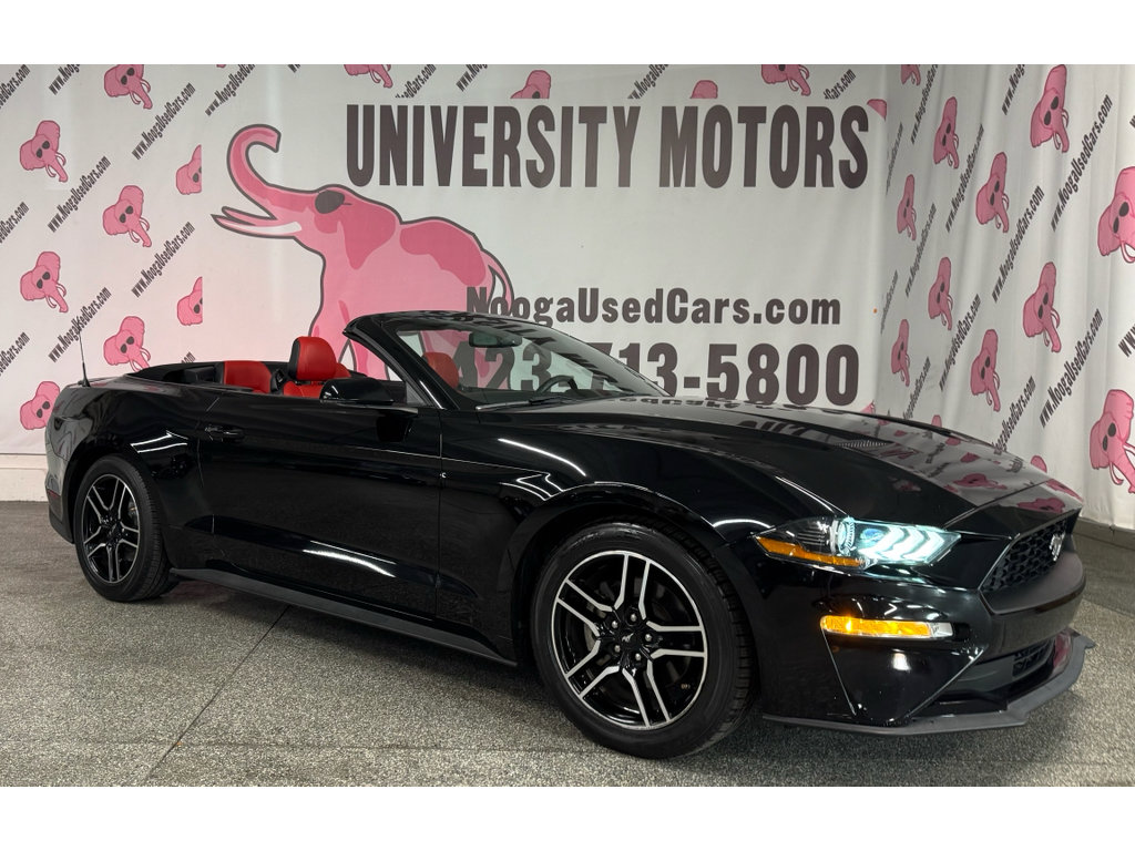 Used 2018 Ford Mustang Premium w/ Equipment Group 201A RWD image 2