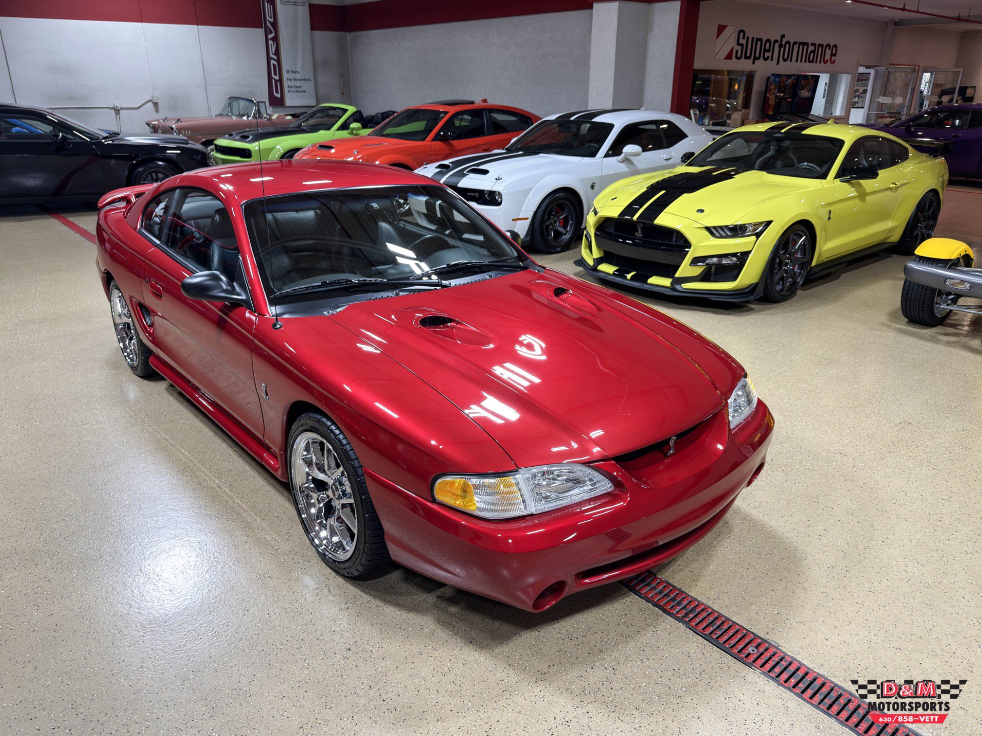Used 1996 Ford Mustang Cobra RWD image 50