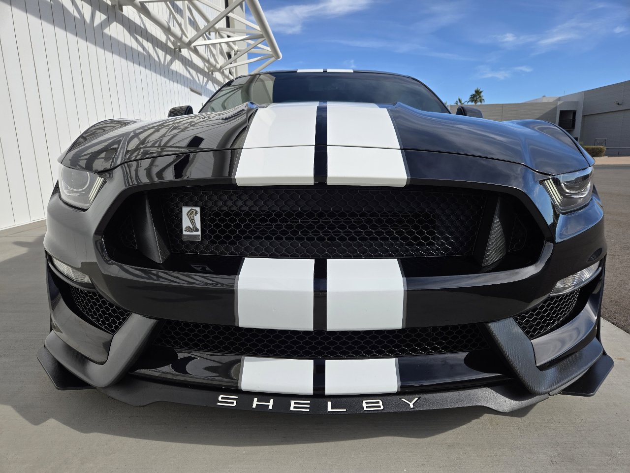 Used 2019 Ford Mustang Shelby GT350 w/ Technology Package image 14