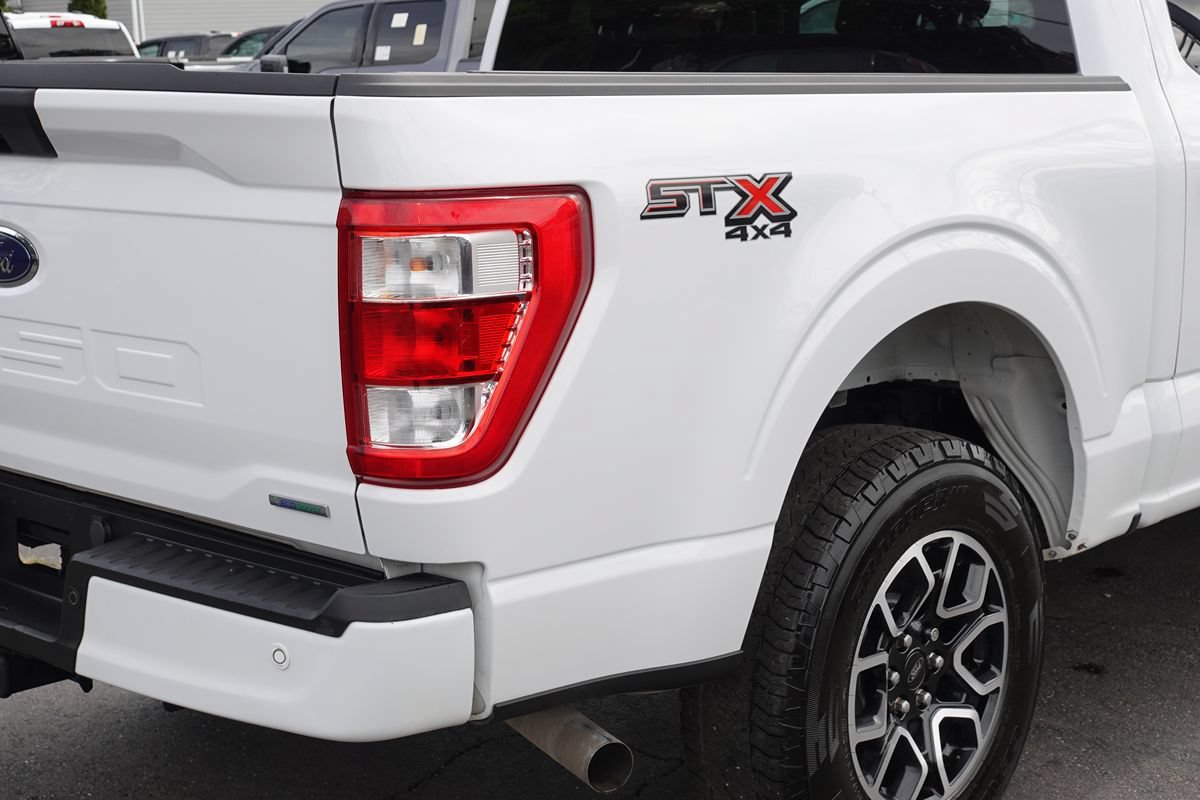 Used 2023 Ford F150 XL w/ XL STX Apperance Package AWD/4WD image 9