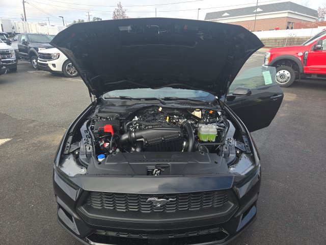 New 2026 Ford Mustang Premium RWD image 9