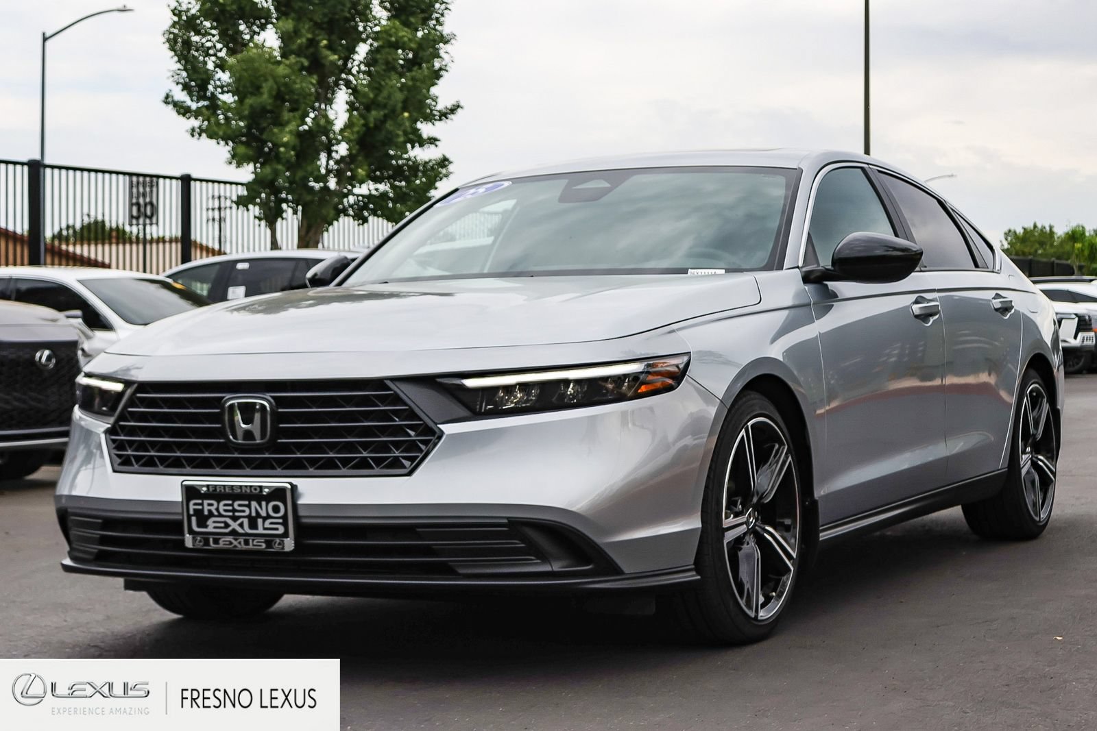 Used 2025 Honda Accord Sport image 3