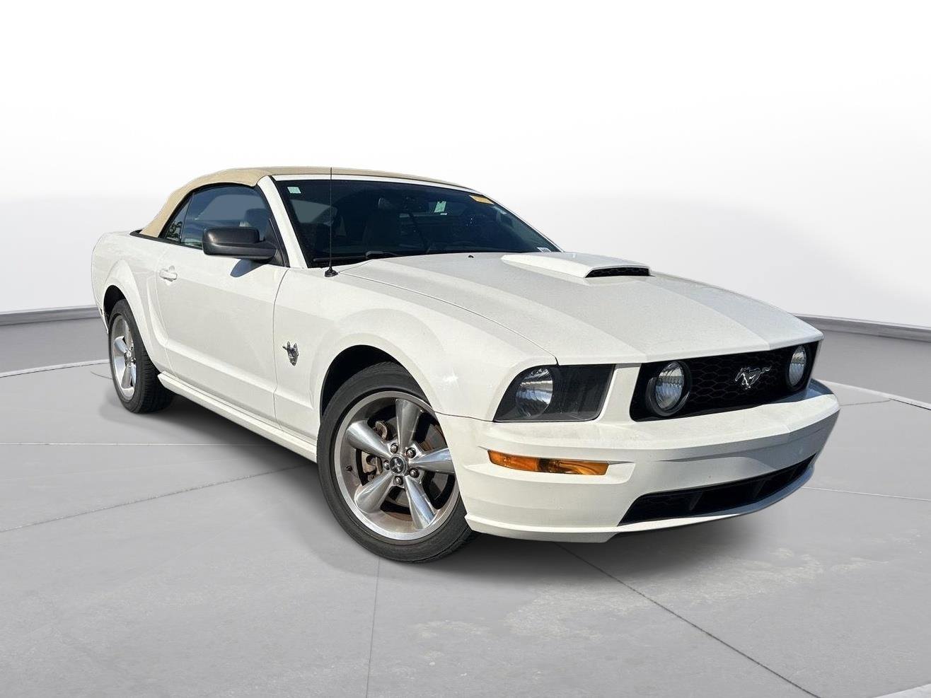 Used 2009 Ford Mustang GT image 4
