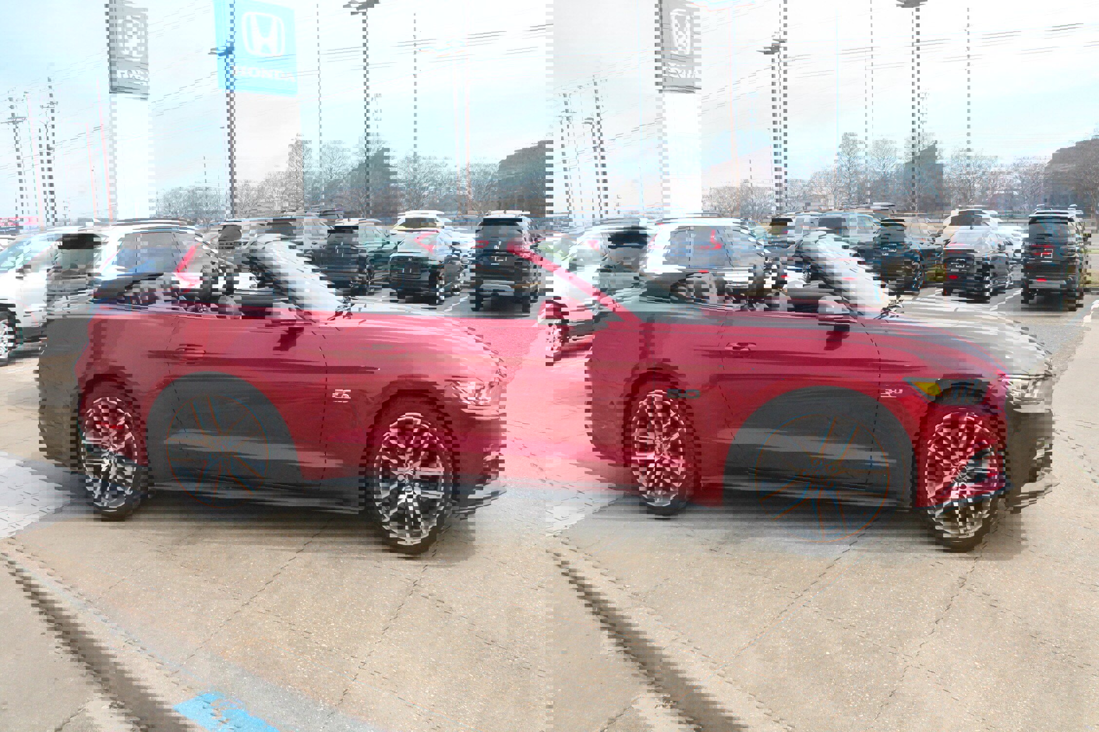 Used 2017 Ford Mustang GT Premium w/ Equipment Group 401A image 6