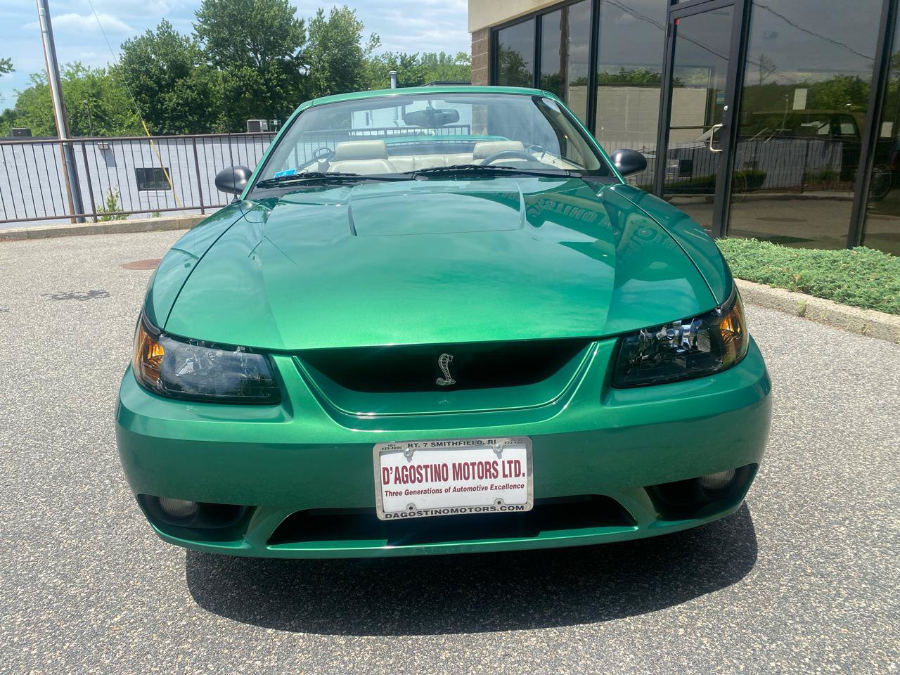 Used 1999 Ford Mustang Cobra RWD image 5