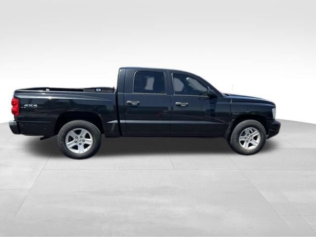 Used 2011 Dodge Dakota Big Horn AWD/4WD image 8
