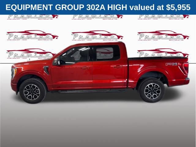 Used 2023 Ford F150 XLT w/ Equipment Group 302A High image 2