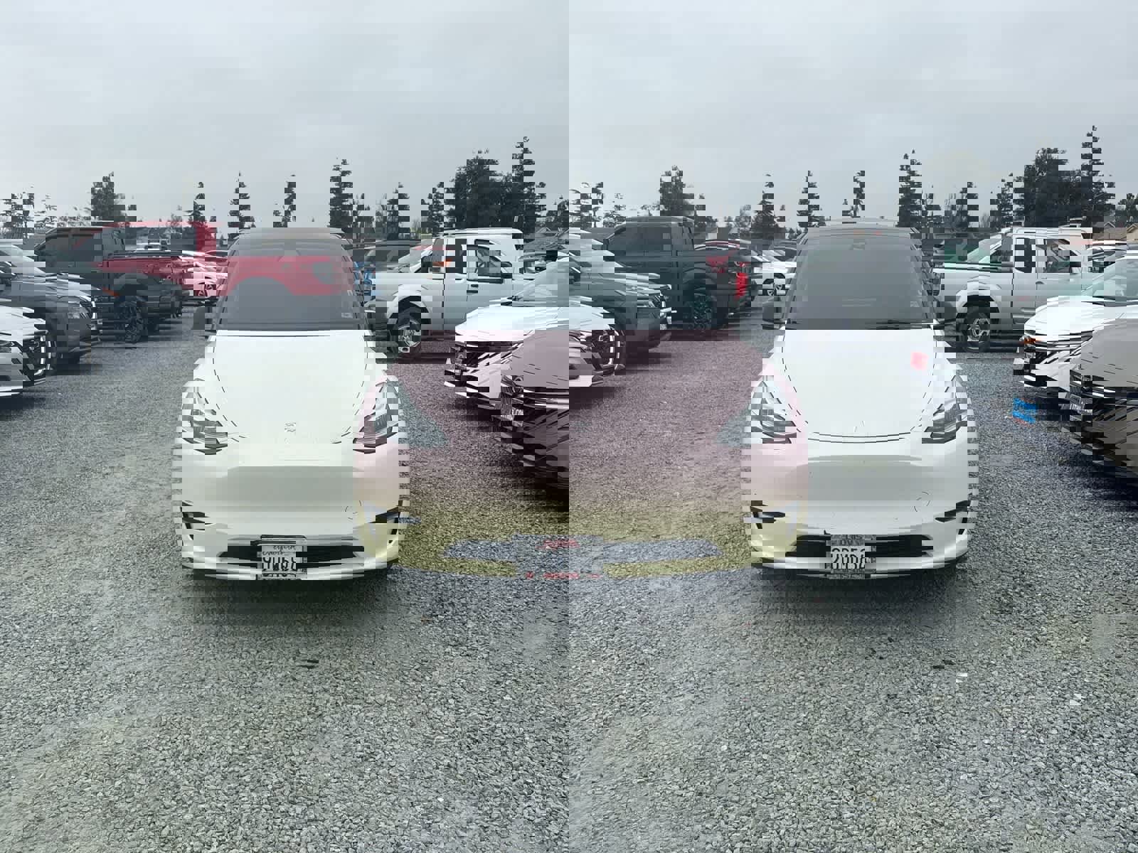 Used 2023 Tesla Model Y Long Range image 10