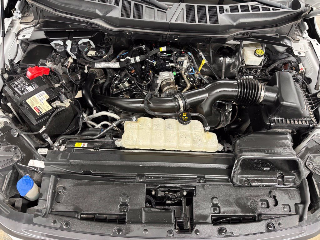 Used 2024 Ford F150 STX RWD image 25