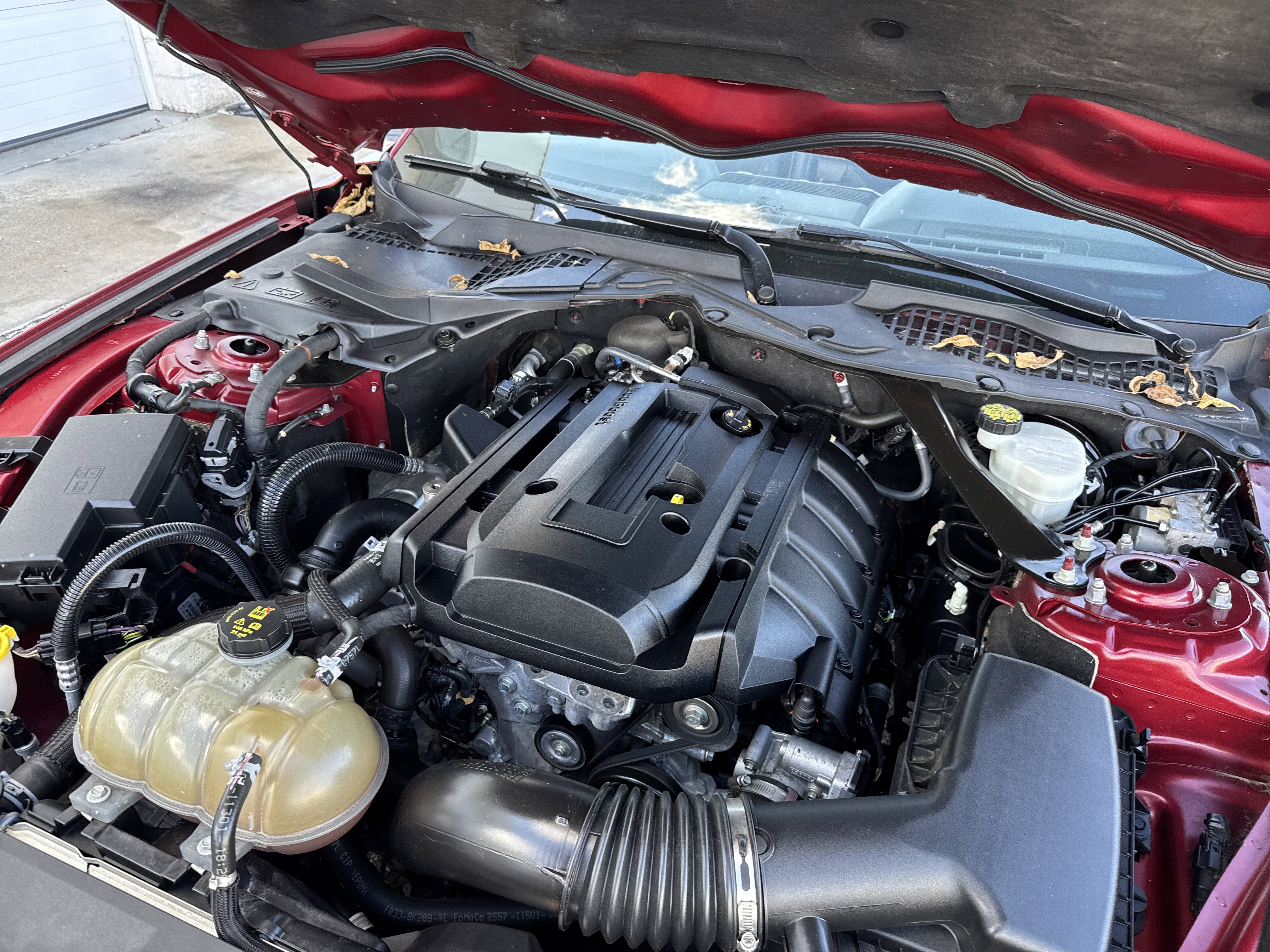 Used 2018 Ford Mustang Premium w/ Equipment Group 201A image 55