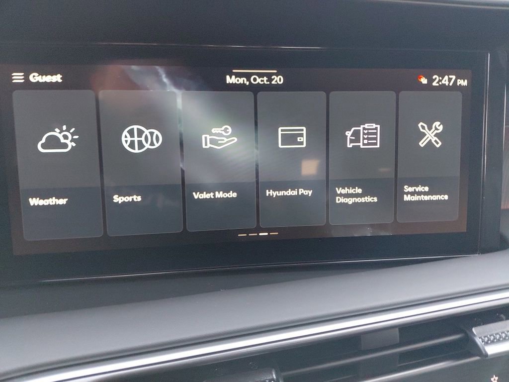 New 2026 Hyundai Palisade Calligraphy image 50