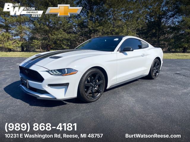 Used 2019 Ford Mustang Coupe w/ Equipment Group 101A