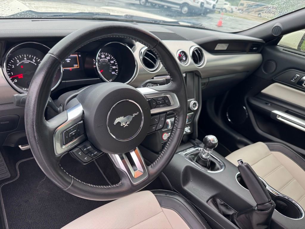 Used 2015 Ford Mustang 50 Years RWD image 8