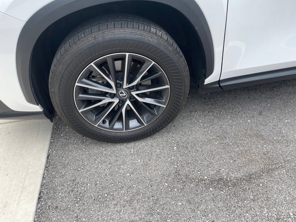 Used 2024 Lexus NX 250 FWD image 6
