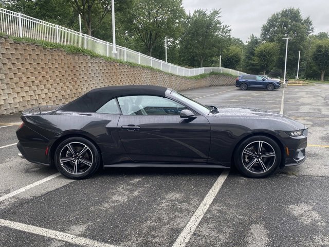 Used 2024 Ford Mustang Premium image 9