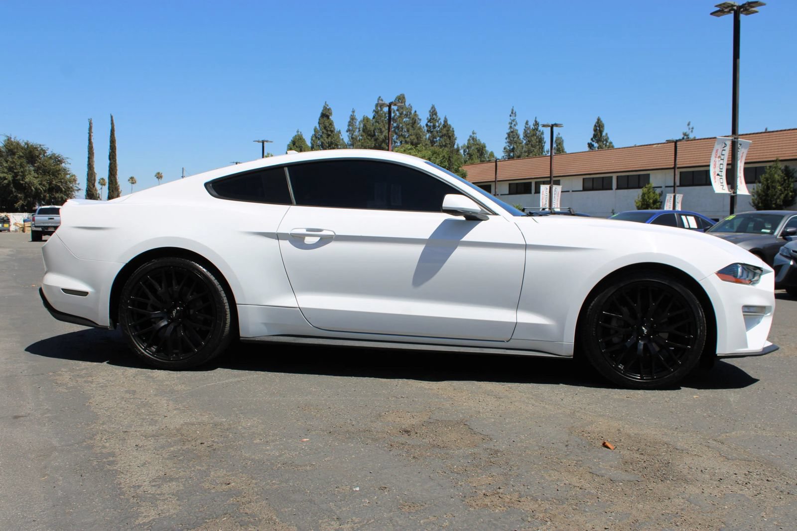 Used 2022 Ford Mustang Premium RWD image 37