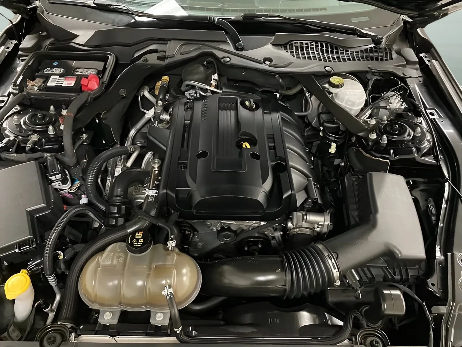 Used 2019 Ford Mustang Convertible w/ Equipment Group 101A RWD image 19