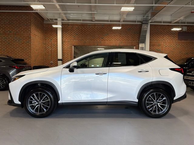 Used 2025 Lexus NX 350 AWD w/ Cold Area Package image 4