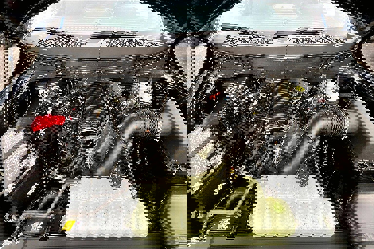 New 2025 Ford F150 STX w/ LOBO Package image 11