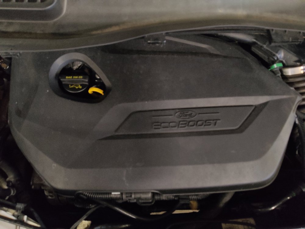 Used 2014 Ford Escape SE FWD image 30