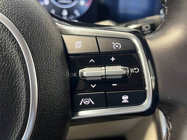 Used 2024 Kia Carnival SX Prestige image 43