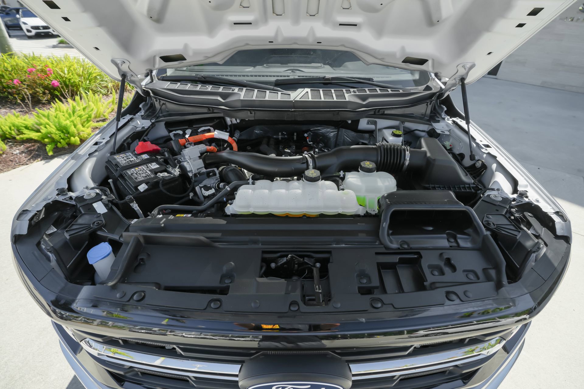 Used 2025 Ford F150 XLT w/ Equipment Group 301A Standard image 42