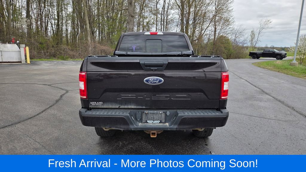 Used 2019 Ford F150 XLT w/ Equipment Group 302A Luxury AWD/4WD image 7