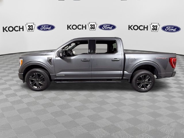 Used 2023 Ford F150 XLT w/ Equipment Group 302A High AWD/4WD image 4