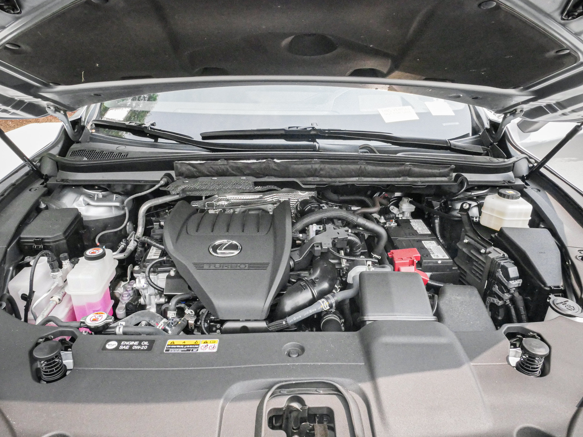 Used 2024 Lexus RX 350 Premium Plus w/ Convenience Package FWD image 34