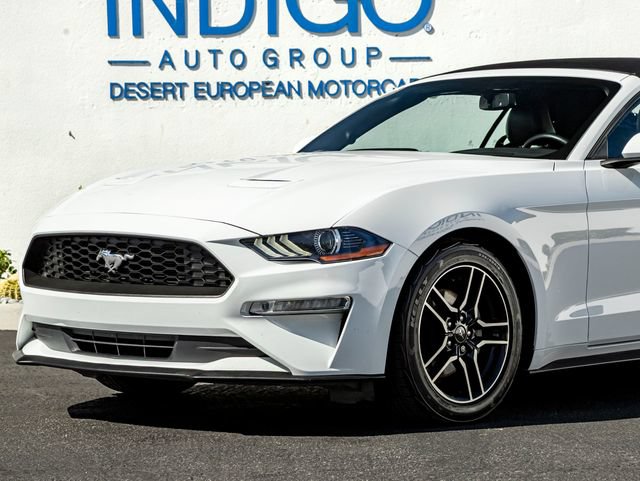 Used 2019 Ford Mustang Premium RWD image 3