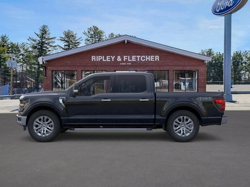New 2024 Ford F150 XLT w/ Equipment Group 303A High AWD/4WD image 3