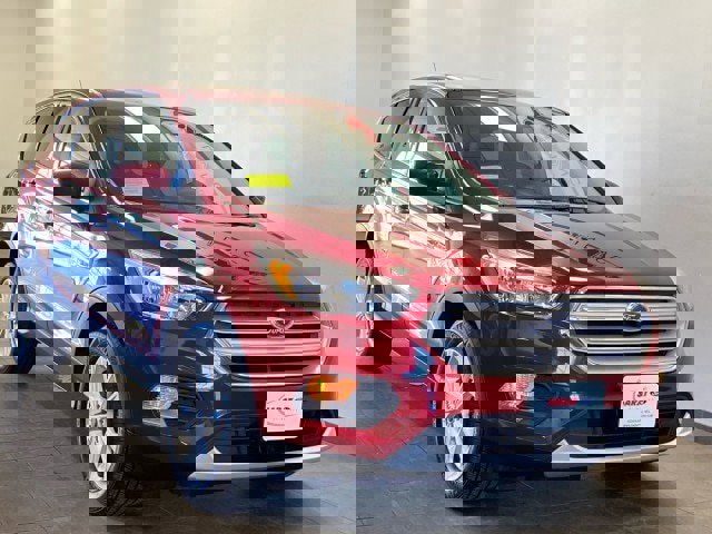 Used 2019 Ford Escape SE image 2