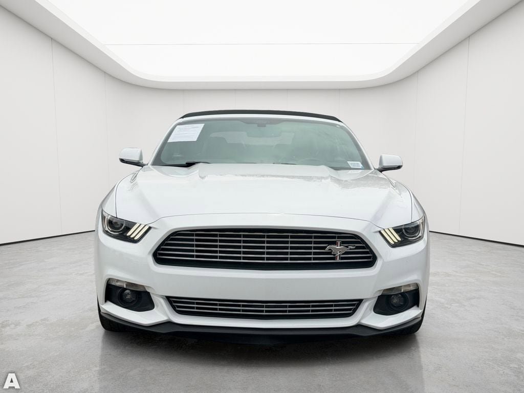 Used 2017 Ford Mustang Premium w/ Equipment Group 201A RWD image 9