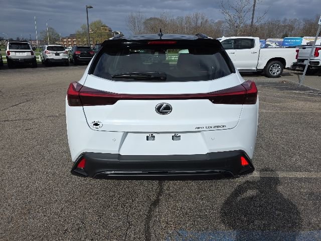 Used 2023 Lexus UX 250h F Sport AWD/4WD image 3