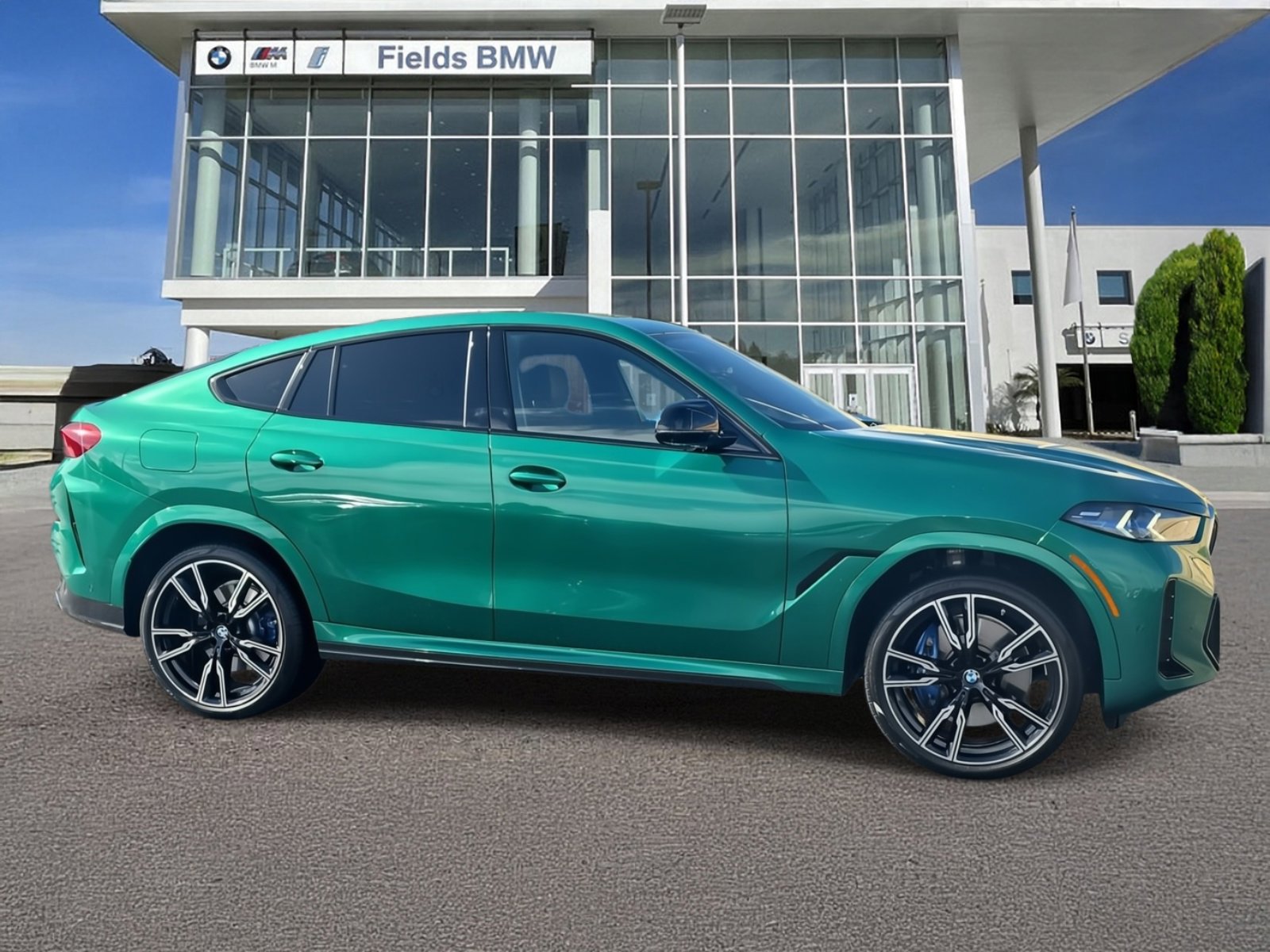Used 2025 BMW X6 M60i