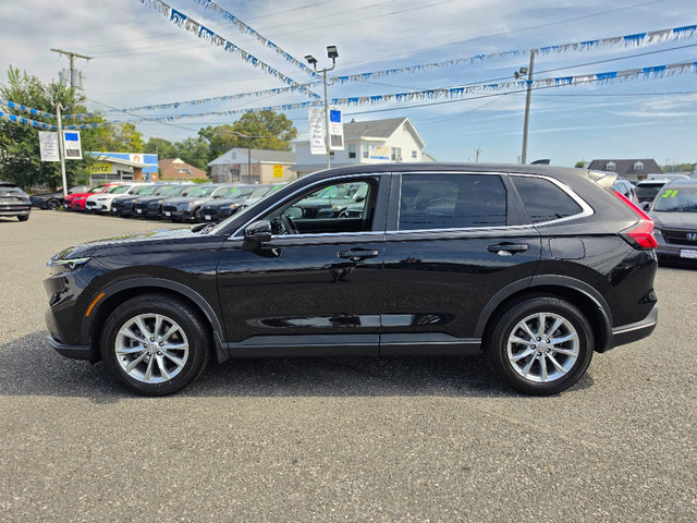 Certified 2024 Honda CR-V EX image 3