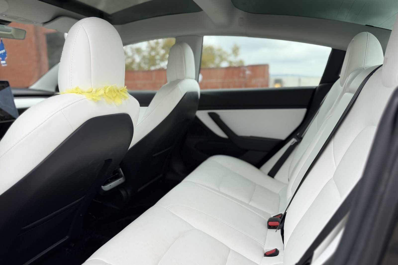 Used 2021 Tesla Model 3 Standard Range Plus RWD image 6