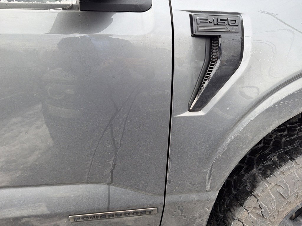 Used 2025 Ford F150 XLT w/ Equipment Group 302A MID image 4