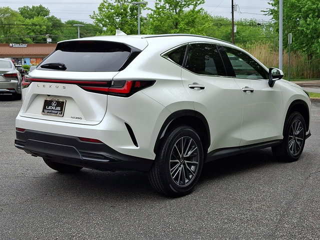 Used 2024 Lexus NX 250 FWD w/ Cold Area Package image 6