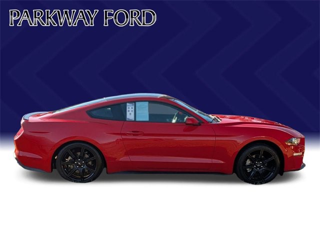 Used 2019 Ford Mustang EcoBoost w/ Black Accent Package image 4