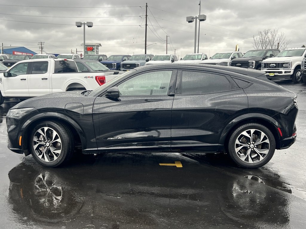 Used 2021 Ford Mustang Mach-E Premium image 8