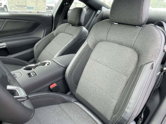 New 2026 Ford Mustang Coupe w/ Mustang Nite Pony Package RWD image 10